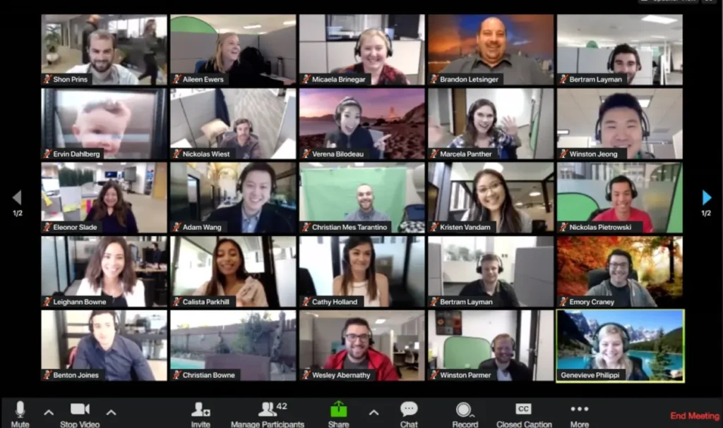 Zoom webinar for Linux