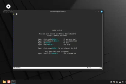 Install and Start Neovim text editor on Linux MInt