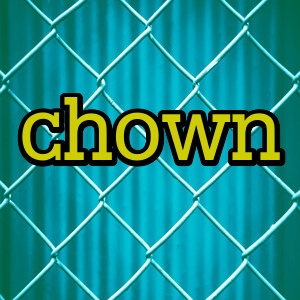 chown