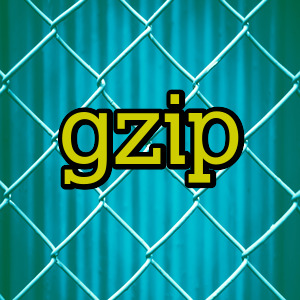 gzip