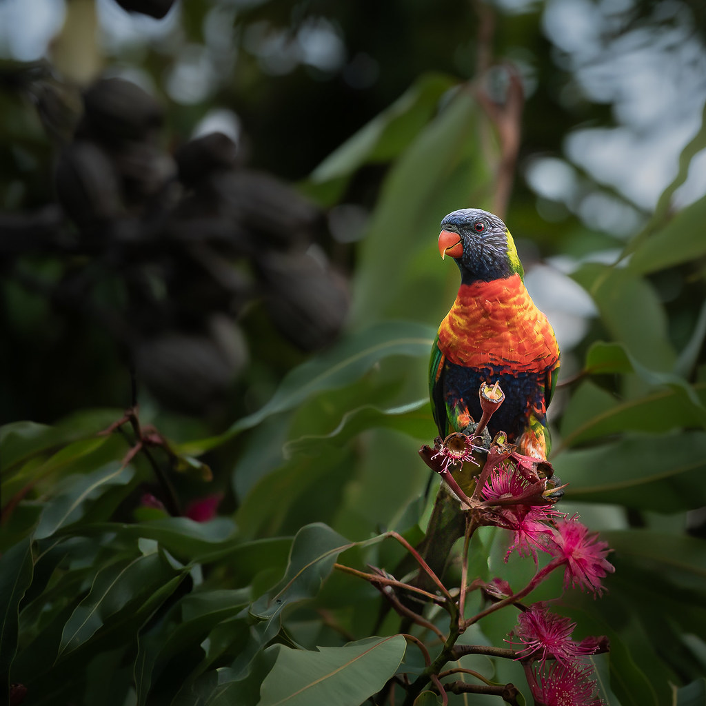 58/365 On the Lookout