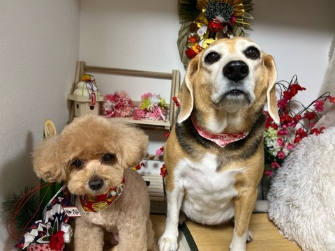 image0 - 2024-12-28T163421.812