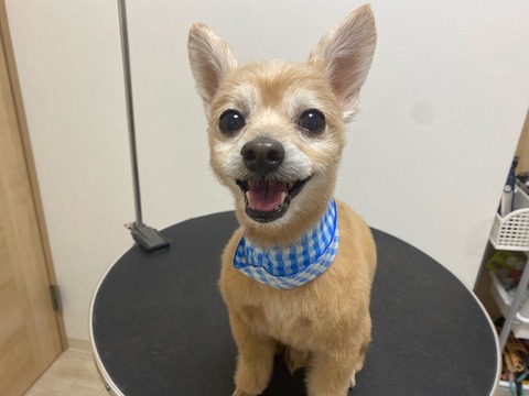 image0 - 2021-08-27T152358.287