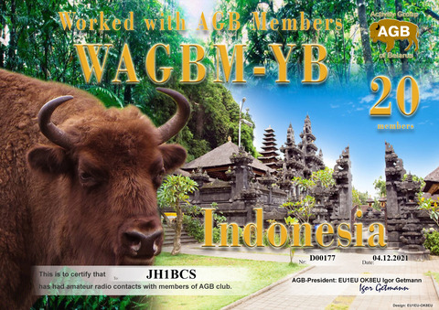 JH1BCS-WAGBM_YB-20_AGB