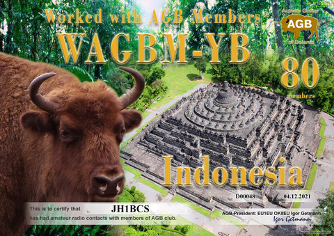 JH1BCS-WAGBM_YB-80_AGB