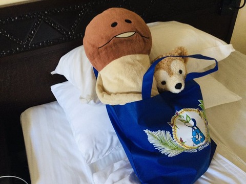 15日目パッキング1