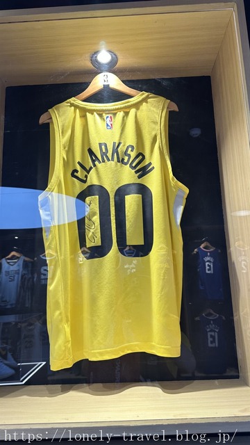 ¥Þ¥Ë¥é¤ÎNBA¥¹¥È¥¢