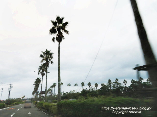 20.11.1.10 国道220号宮崎南バイパス (4)