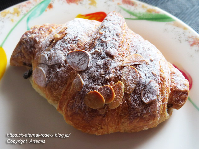 19.11.10 むくむく (9)