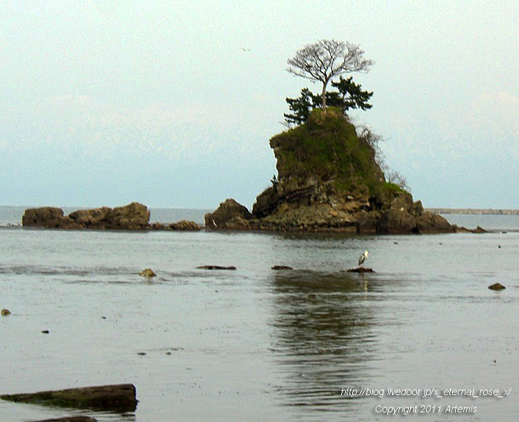 10.4.18.3 雨晴  (8)