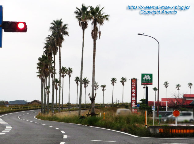 20.11.1.10 国道220号宮崎南バイパス (5)