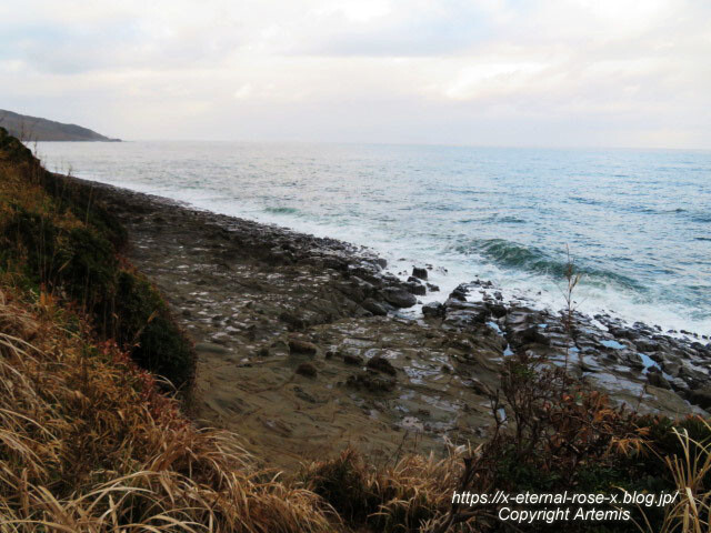 20.11.1.10 国道220号宮崎南バイパス (1)