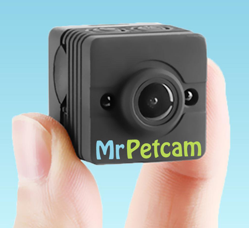 mrpetcam.com