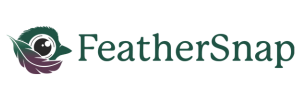 feathersnapcam.com