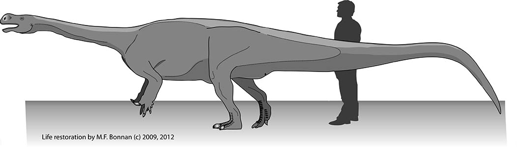 The Evolving Paleontologist