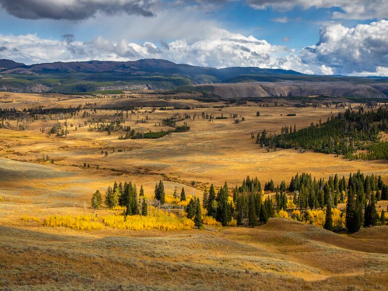 Yellowstone National Park.