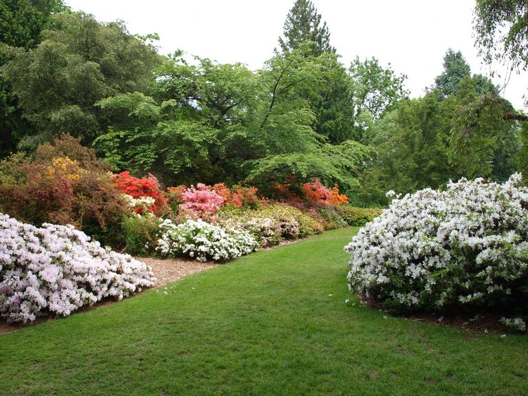 Manicured botanical gardens