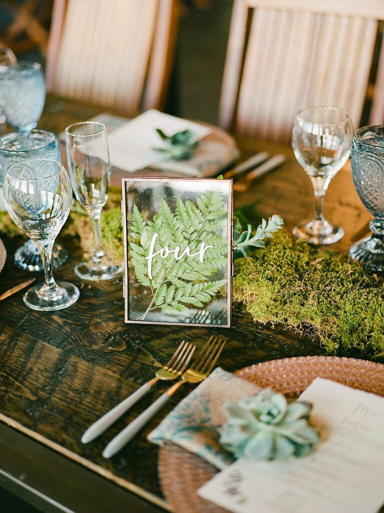 Pressed fern in frame as table number