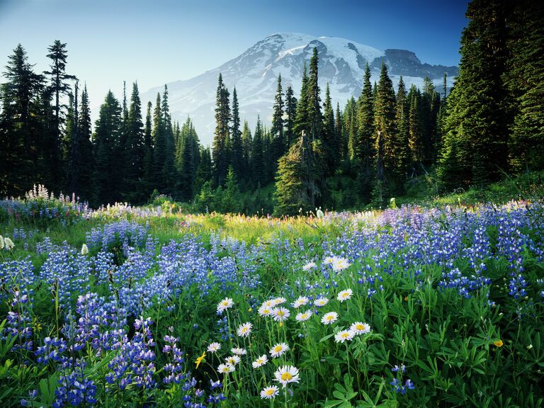 US National Park scenery.