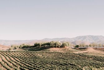 Leoness Cellars engagement photo location in Temecula