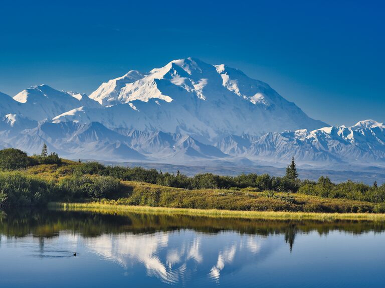 Denali National Park.