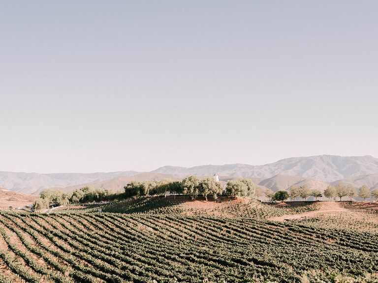 Leoness Cellars engagement photo location in Temecula