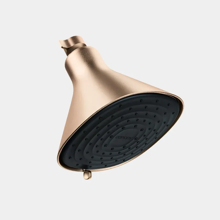 Canopy brass Filtered Showerhead