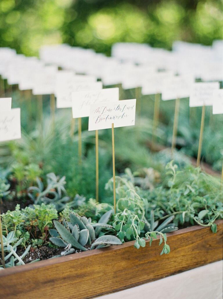 Garden box escort card display