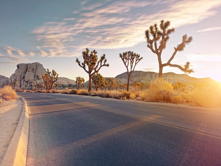 Joshua Tree National Park.