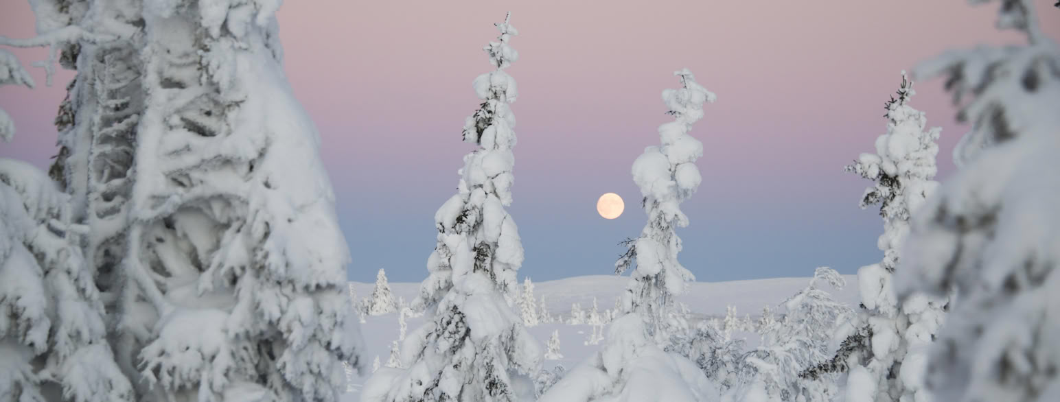 Snø på Sjusjøen