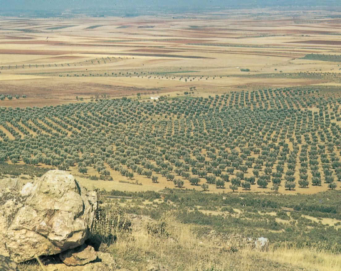 Spania, la Meseta og Burgos