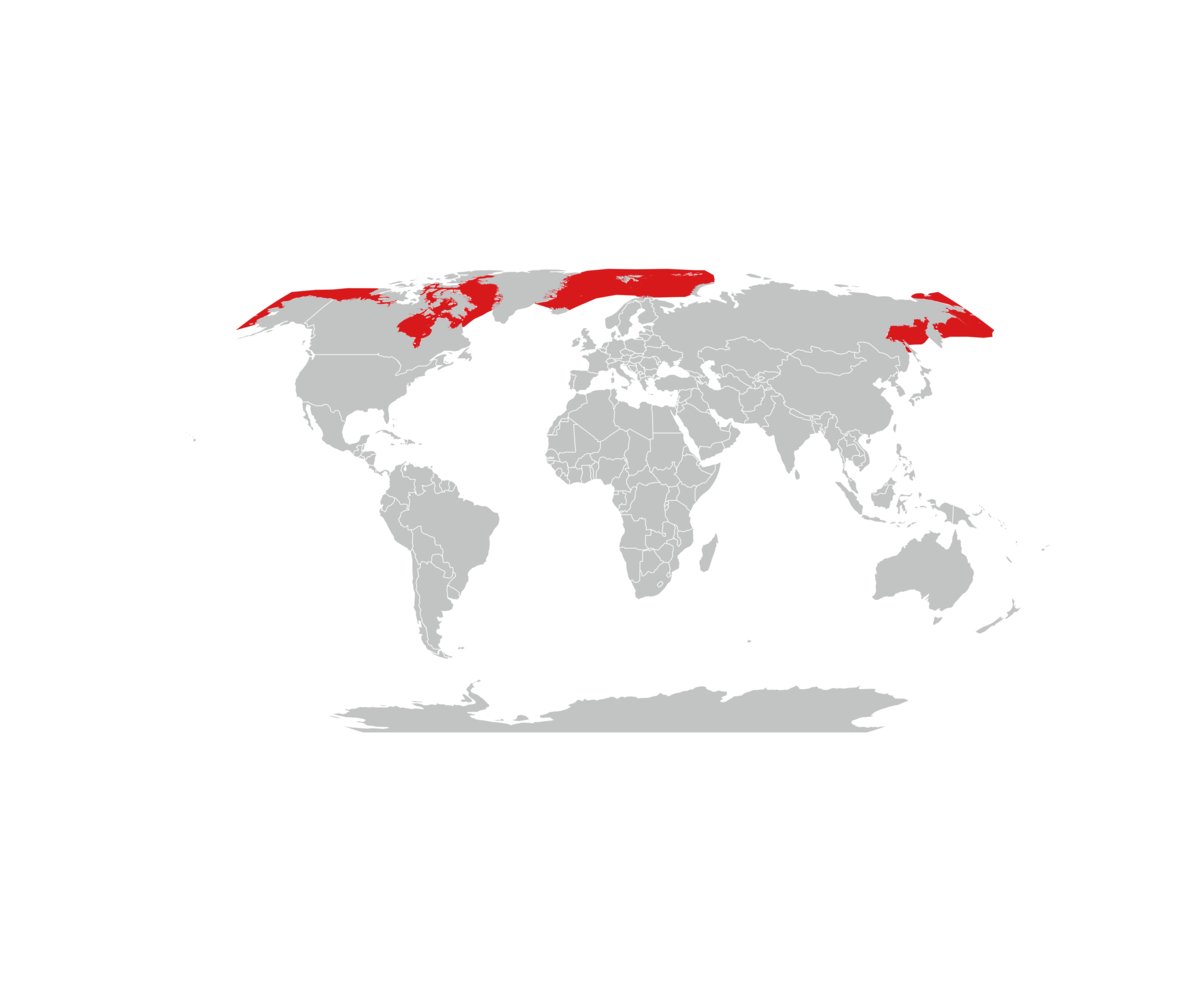 utbredelse av grønlandshval