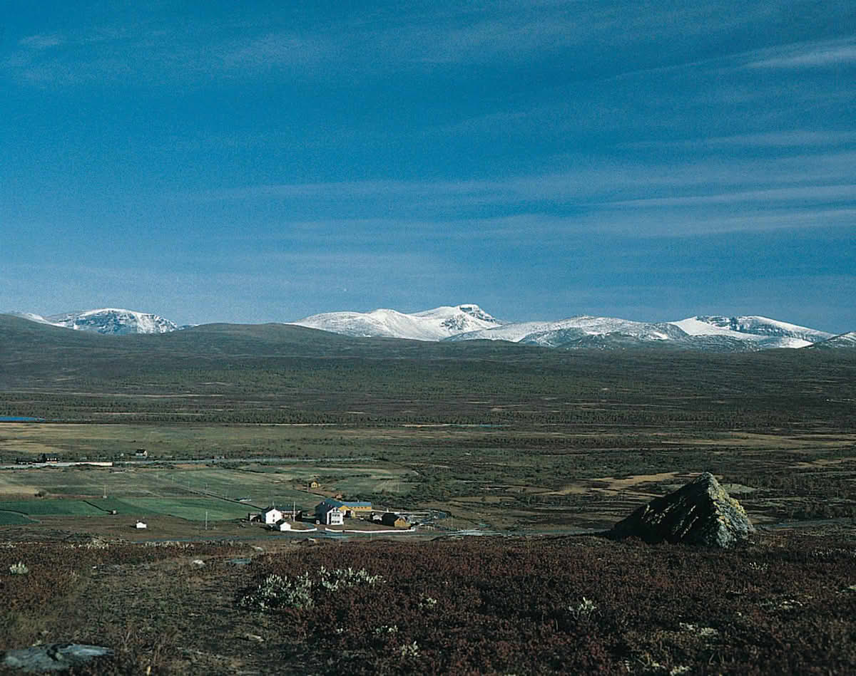 Fokstumyra naturreservat