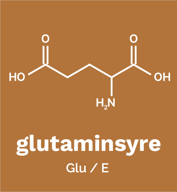 Glutaminsyre