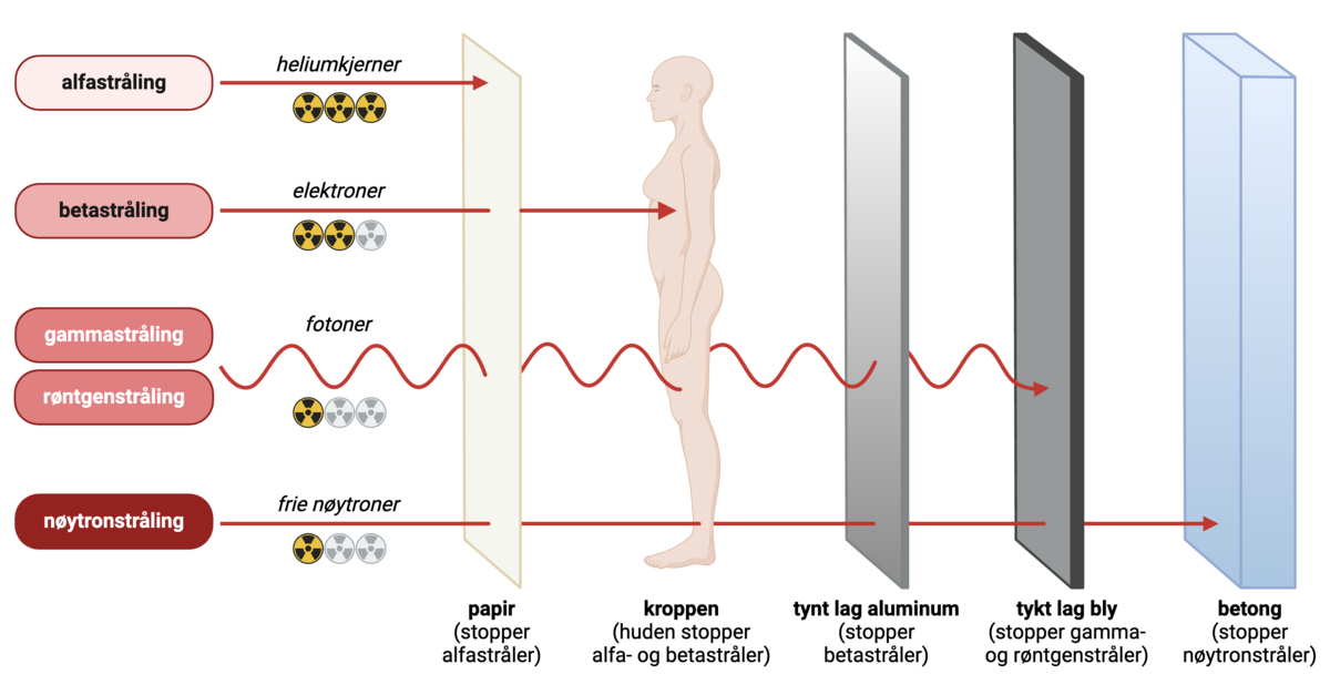 Ulike stråletypers gjennomtrengningsevne