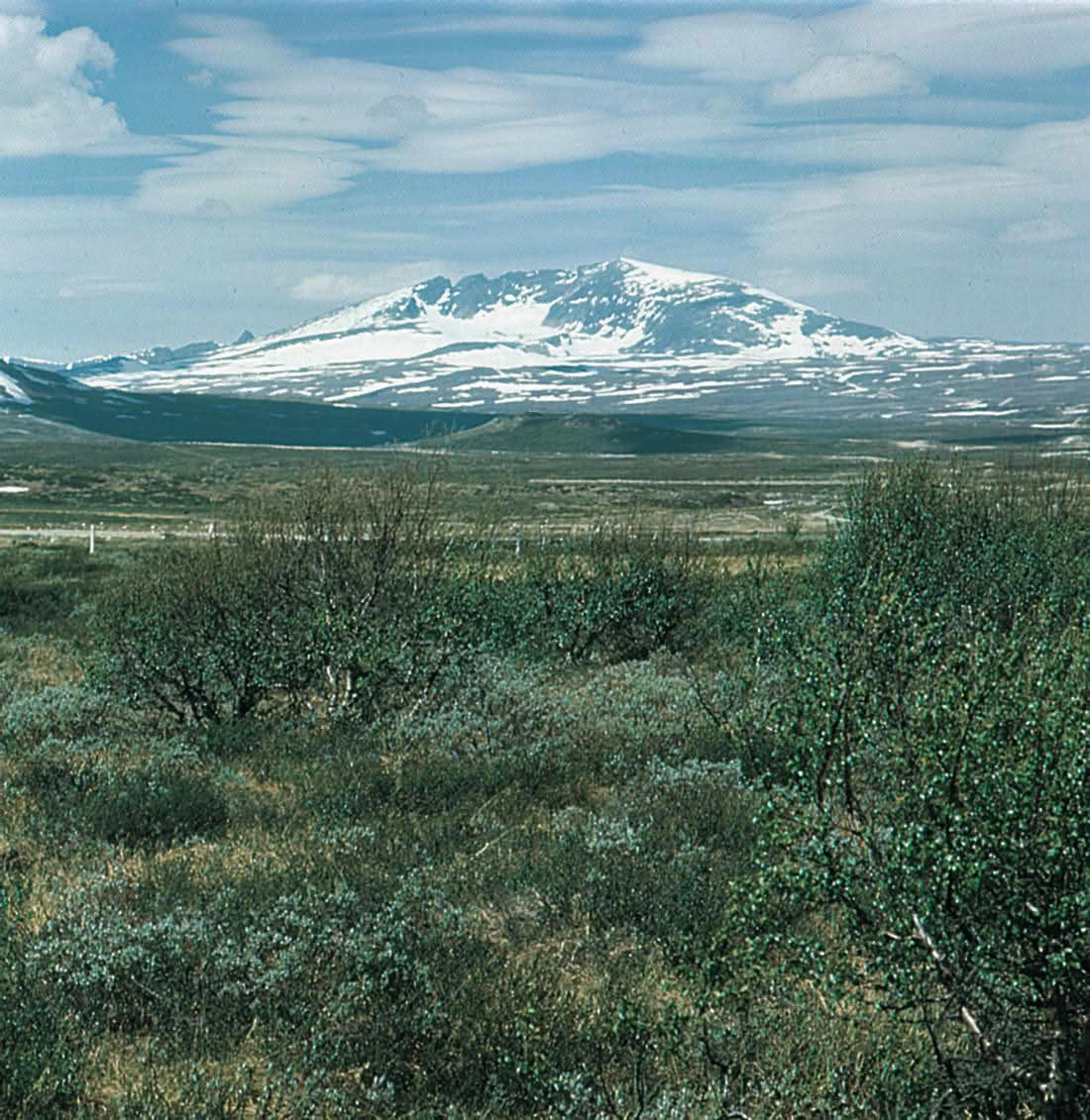 Dovrefjell (Snøhetta)