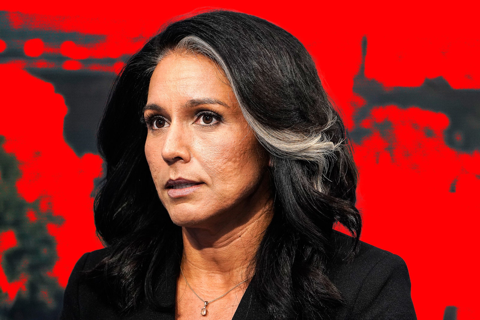 Meet the Conspiracy Filmmaker Who Claims to Have Red-Pilled Tulsi Gabbard