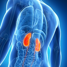 Chronic Kidney Disease