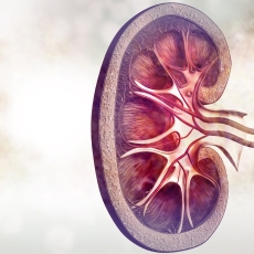 Kidney Diseases