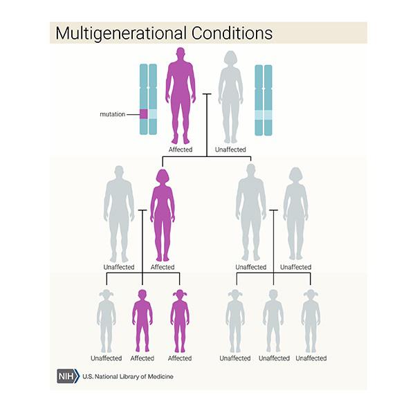 Three generations of a family with a genetic disorder.