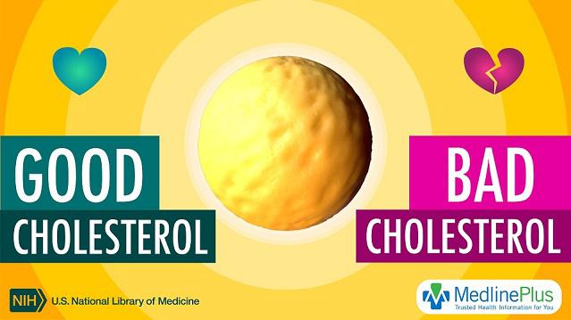 Cholesterol Good and Bad