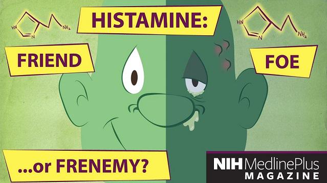 Histamine: The Stuff Allergies are Made of