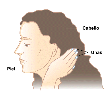 Body Map for Piel, cabello y uñas