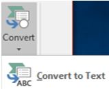 Convert to Text