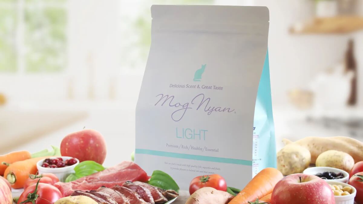 俳優・坂上忍と共同開発したモグニャンキャットフードライトが発売