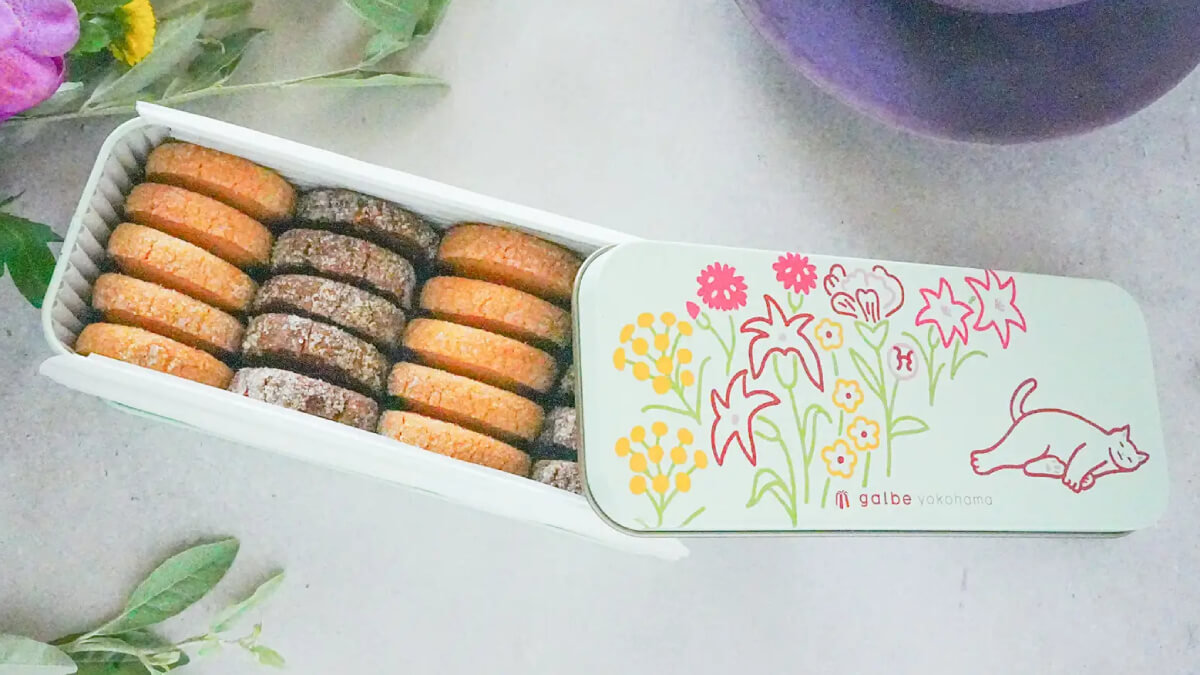 galbe yokohama「猫のうたたねクッキー缶」発売！売上の一部は寄付