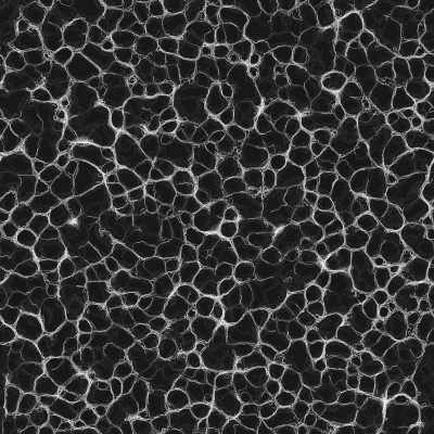 Screenshot of sketch