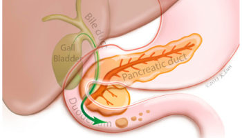 bile duct