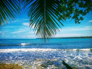 Beach coastline at Playa Negra, Parque Nacional Cahuita, Costa Rica.