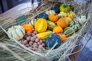 Halloween pumpkins in Tokyo
